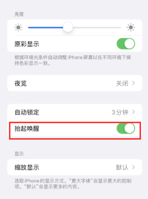 新巴尔虎左苹果授权维修站分享iPhone轻点无法唤醒怎么办