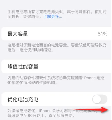 新巴尔虎左苹果15维修分享iPhone15充电到80%就充不进电了怎么办 