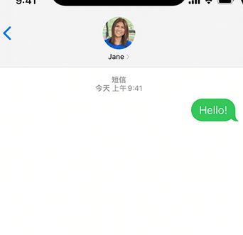 新巴尔虎左apple维修iPhone上无法正常发送iMessage信息