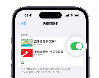 新巴尔虎左apple维修点分享iPhone上更换Apple Pay快捷交通卡手绘卡面 