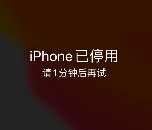 新巴尔虎左苹果手机维修分享:iPhone 显示“不可用”或“已停用”怎么办？还能保留数据吗？ 