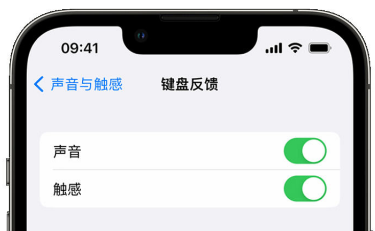 新巴尔虎左苹果手机维修分享iPhone 14触感键盘使用方法 