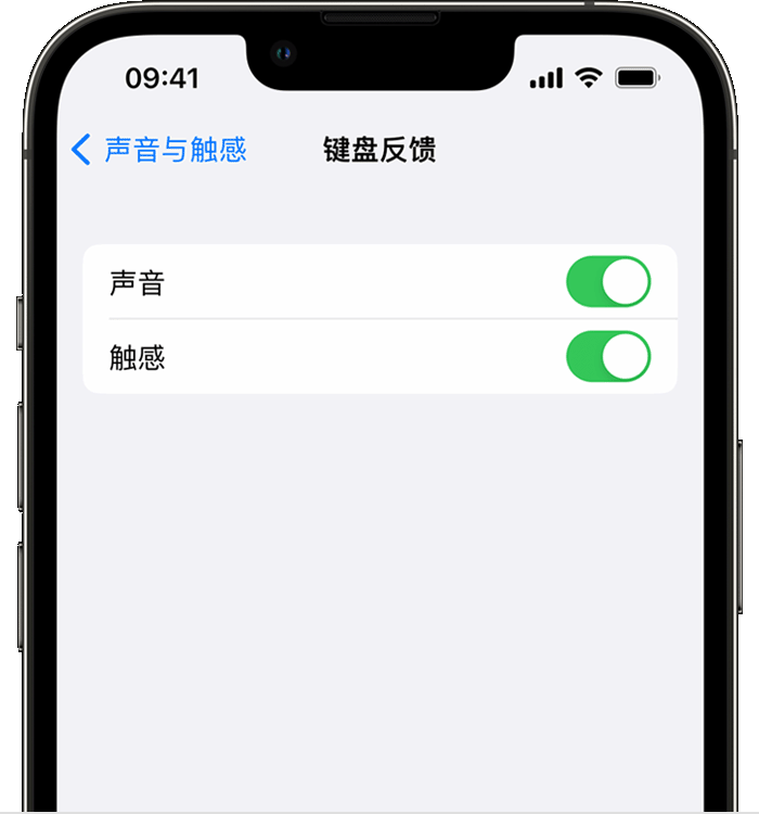 新巴尔虎左苹果14维修店分享如何在 iPhone 14 机型中使用触感键盘 