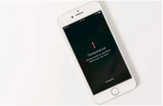新巴尔虎左苹果手机维修分享iPhone 手机发热如何快速降温 