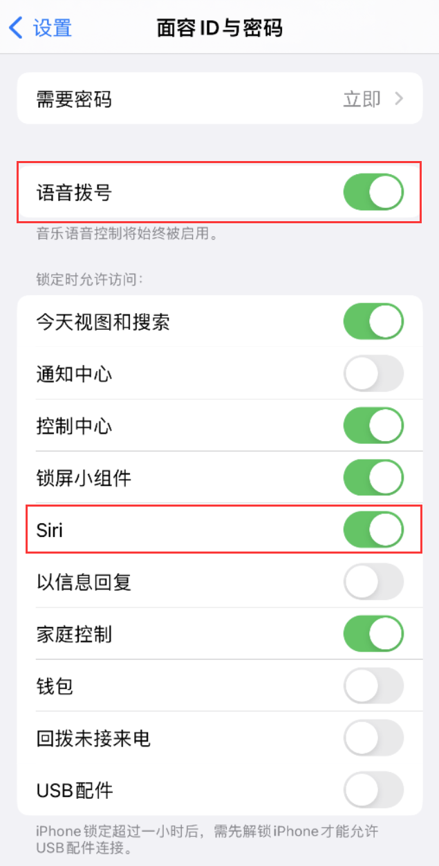 新巴尔虎左苹果维修网点分享不解锁 iPhone 的情况下通过 Siri 拨打电话的方法 