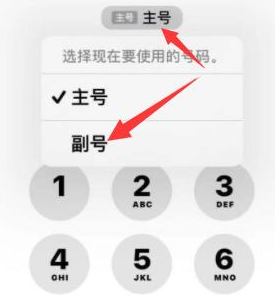 新巴尔虎左苹果14维修店分享iPhone 14 Pro Max使用副卡打电话的方法 