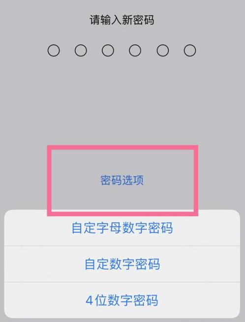 新巴尔虎左苹果14维修分享iPhone 14plus设置密码的方法 