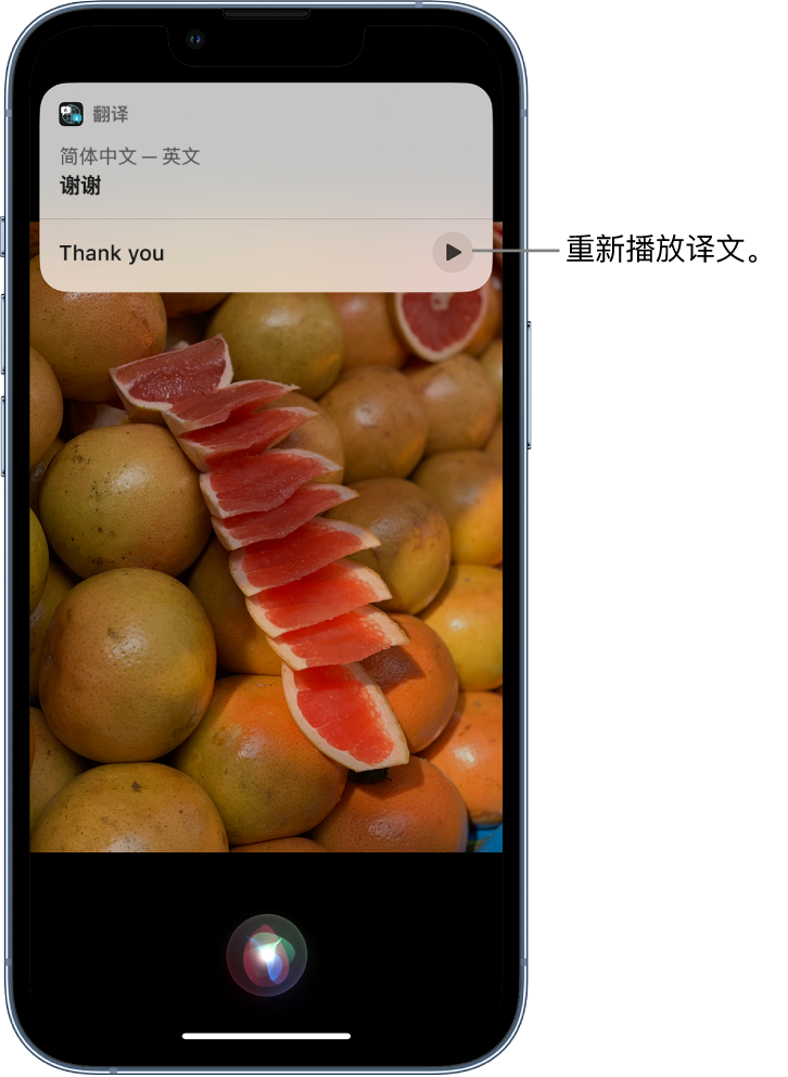 新巴尔虎左苹果14维修分享 iPhone 14 机型中使用 Siri：了解 Siri 能帮你做什么 