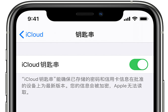 新巴尔虎左苹果手机维修分享在 iPhone 上开启 iCloud 钥匙串之后会储存哪些信息 