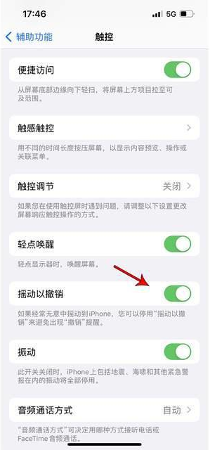 新巴尔虎左苹果手机维修分享iPhone手机如何设置摇一摇删除文字 